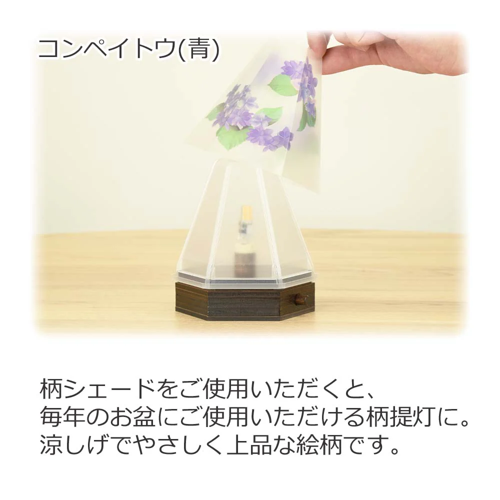 新型 六花灯 コンペイトウ・ハナミズキ - Image 5