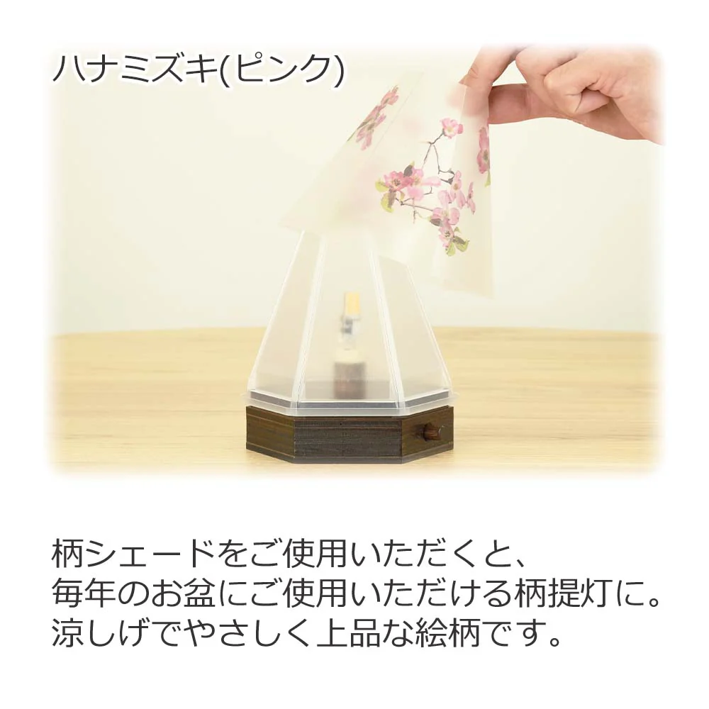 新型 六花灯 コンペイトウ・ハナミズキ - Image 8
