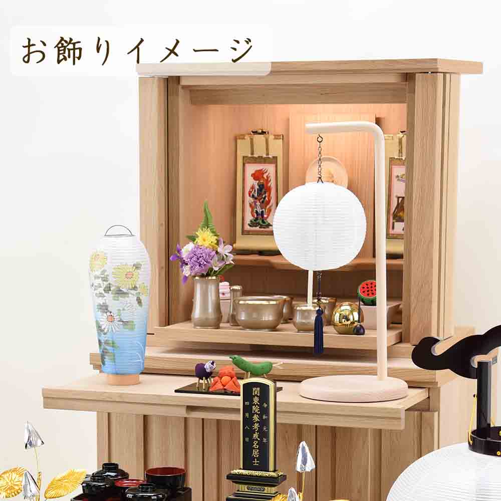 新型 小珠 美濃菊 - Image 6