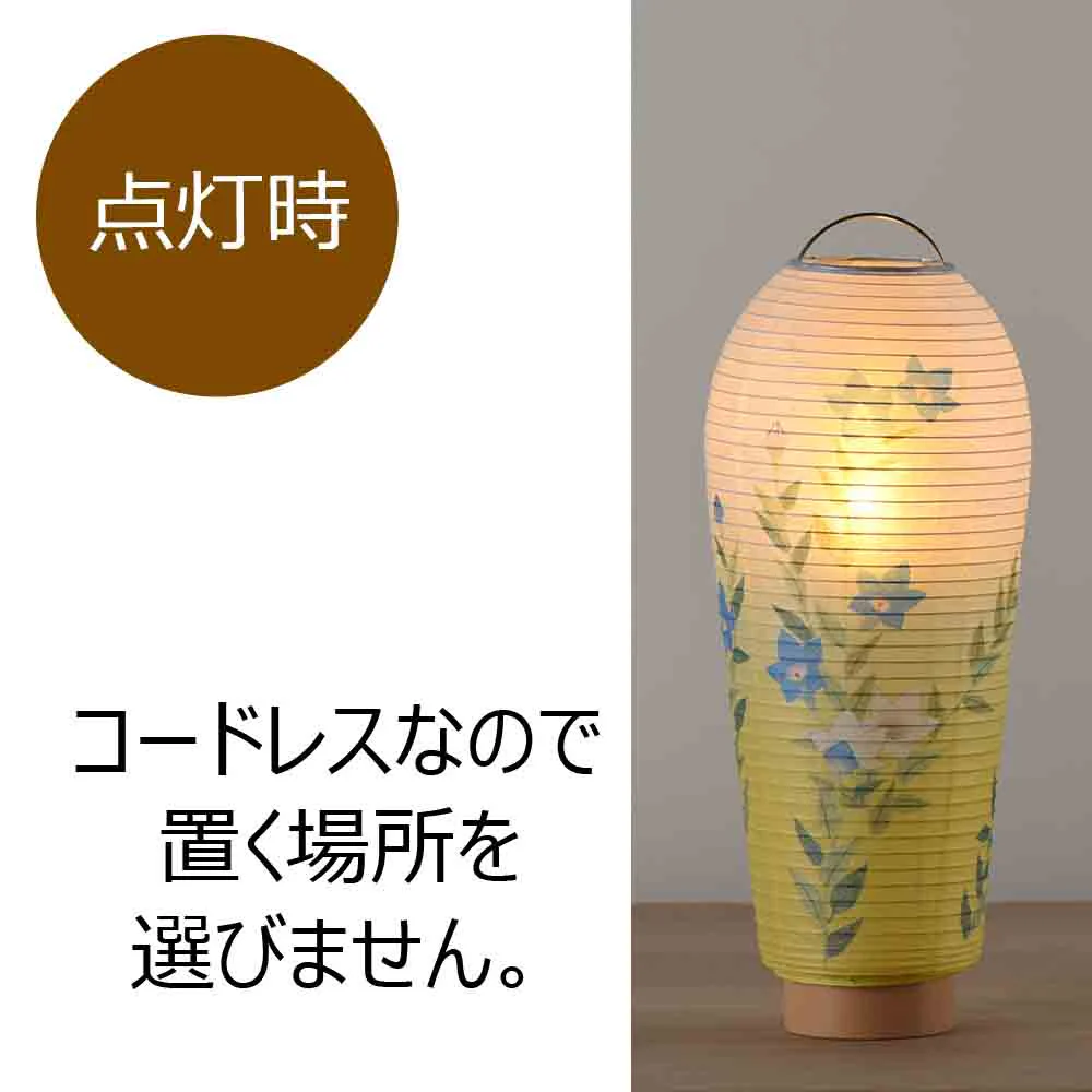 新型 小珠 桔梗 - Image 4