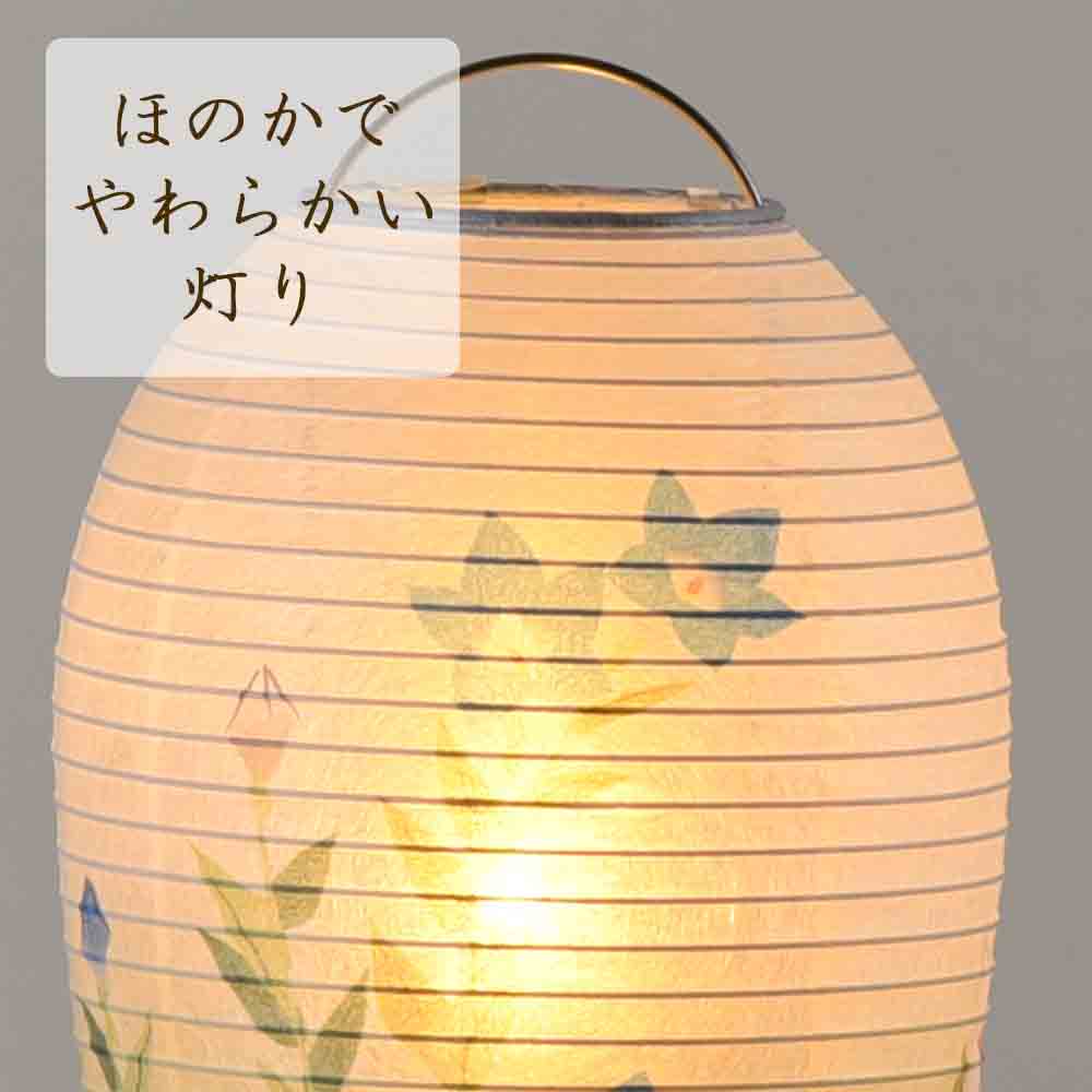 新型 小珠 桔梗 - Image 5