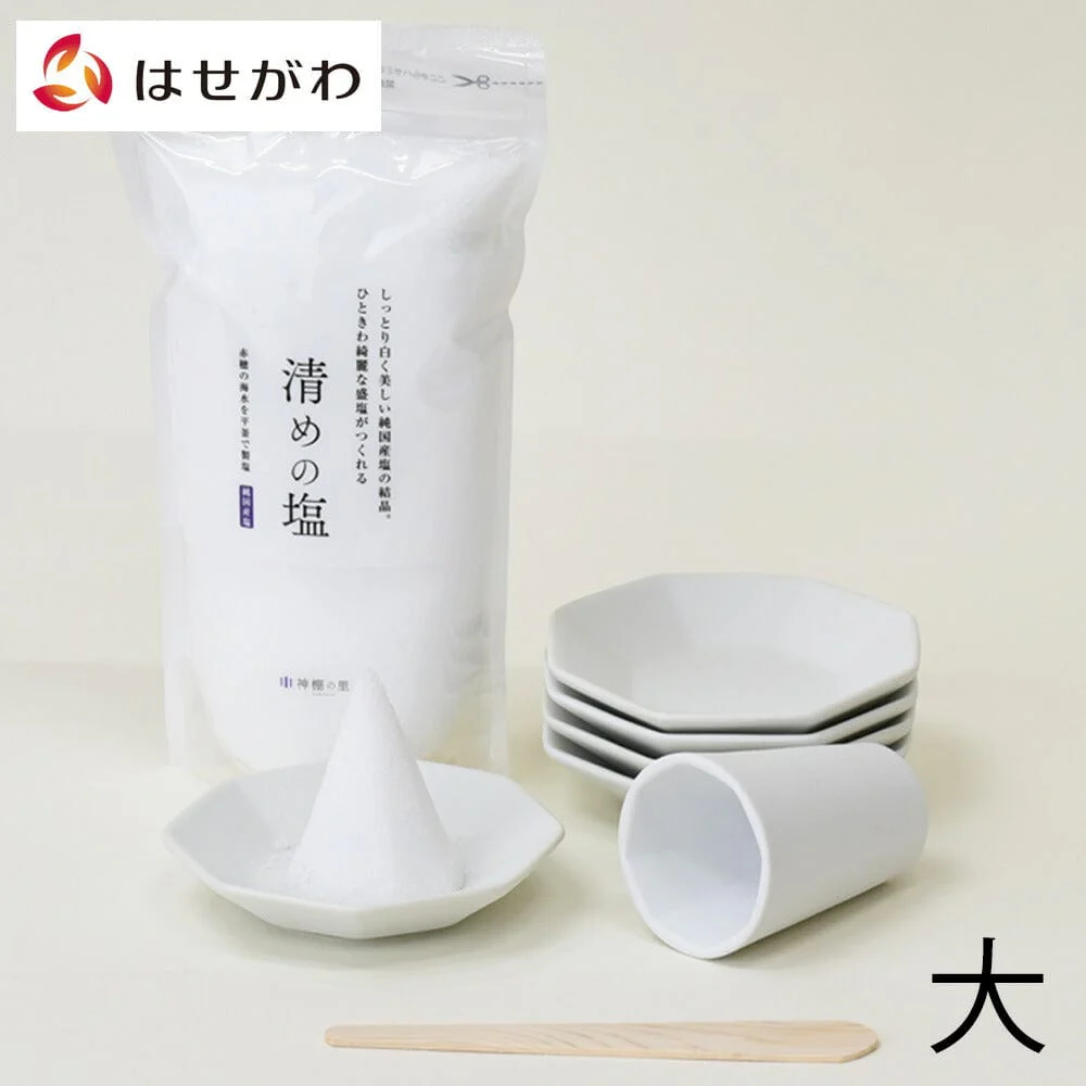 八角 盛り塩セット 大 清めの塩500g付き