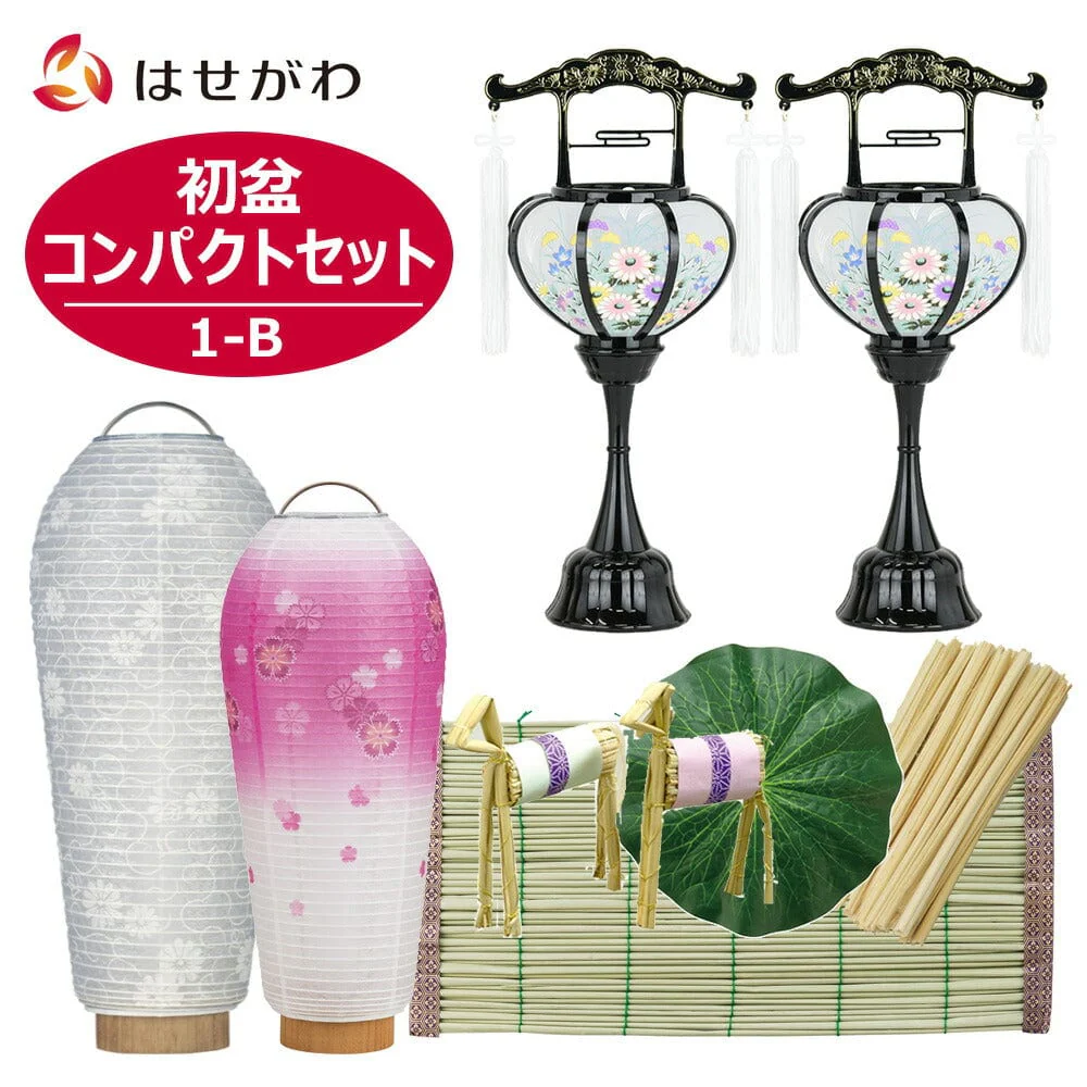 ใWEB้ๅฎใๅ็ใปใใ ใณใณใใฏใ 3็นใปใใ 1-B