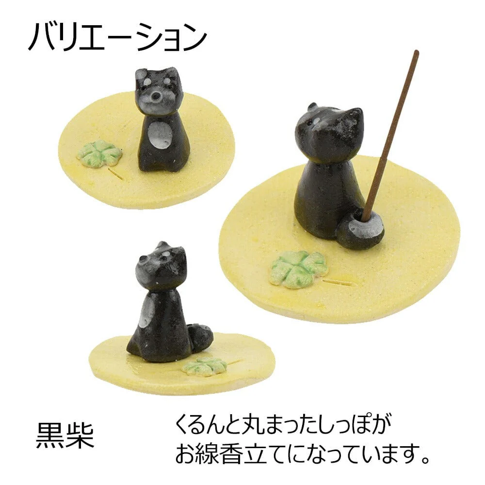 香立 黒柴 柴犬 - Image 4